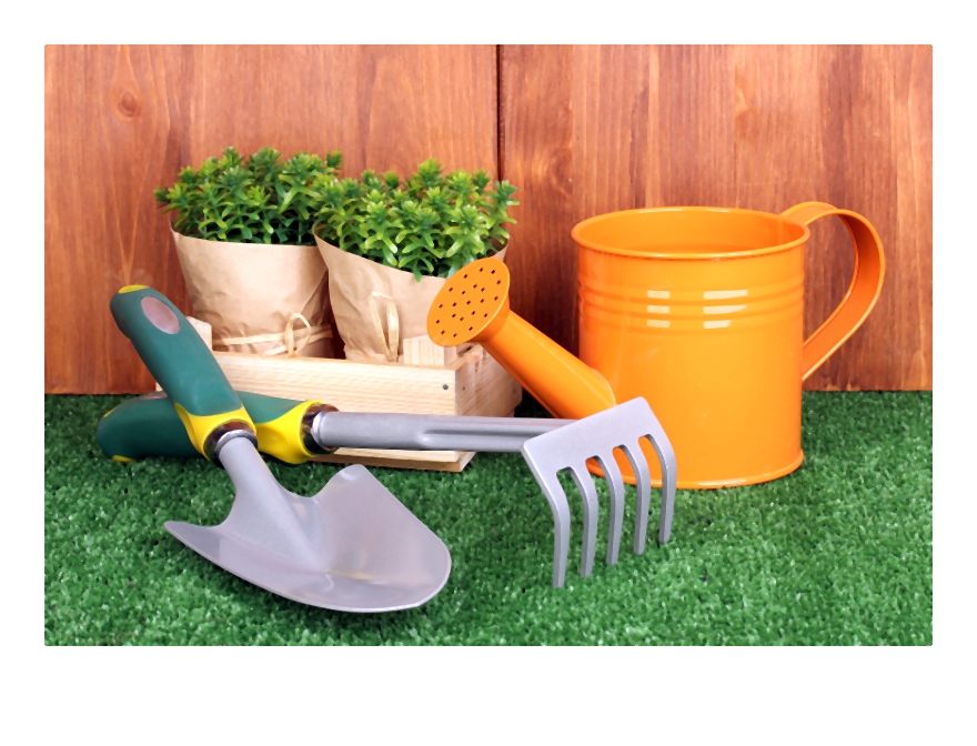 Jak założyć trawnik czyli poradnik zakładanie trawnika ? planowanie krok po kroku